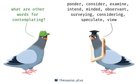 As verbs the difference between <b>contemplating</b> and considering. . Thesaurus contemplating
